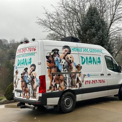 65